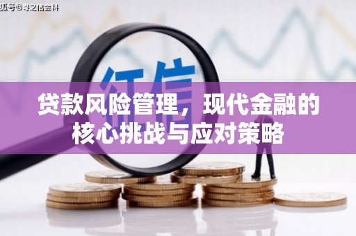 弋江贷款风险管理，现代金融的核心挑战与应对策略