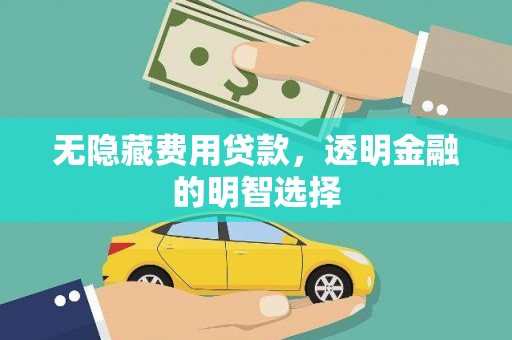弋江无隐藏费用贷款，透明金融的明智选择