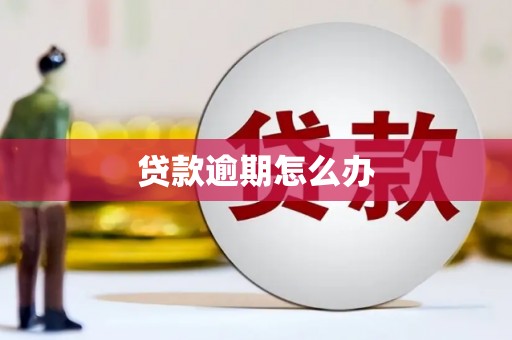 弋江贷款逾期怎么办