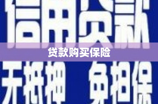 弋江贷款购买保险