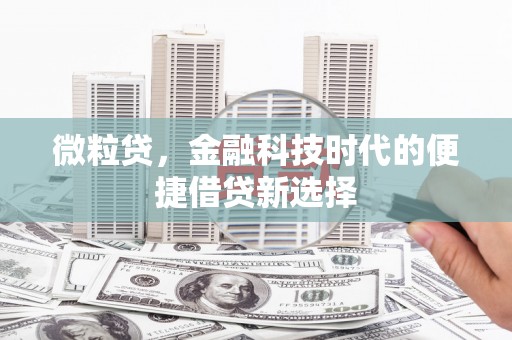 弋江微粒贷，金融科技时代的便捷借贷新选择