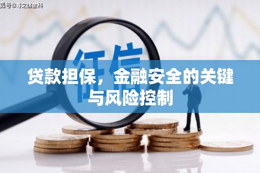 弋江贷款担保，金融安全的关键与风险控制
