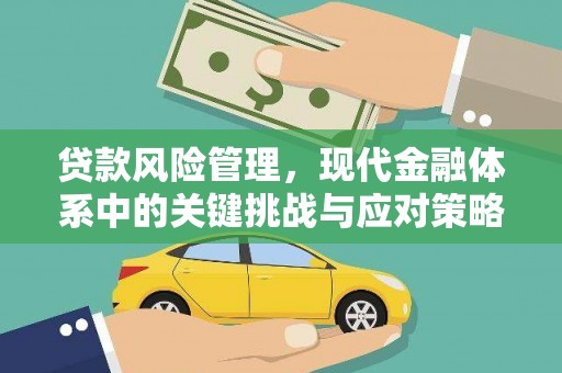 弋江贷款风险管理，现代金融体系中的关键挑战与应对策略