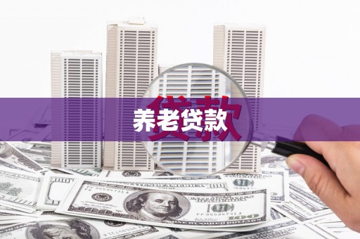 弋江养老贷款