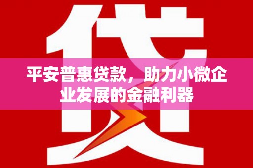弋江平安普惠贷款，助力小微企业发展的金融利器