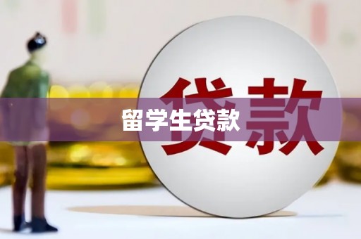 弋江留学生贷款