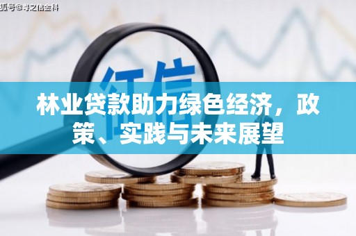 弋江林业贷款助力绿色经济，政策、实践与未来展望