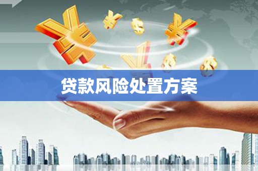 弋江贷款风险处置方案
