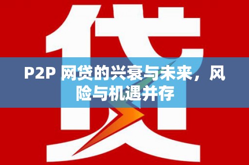 弋江P2P 网贷的兴衰与未来，风险与机遇并存