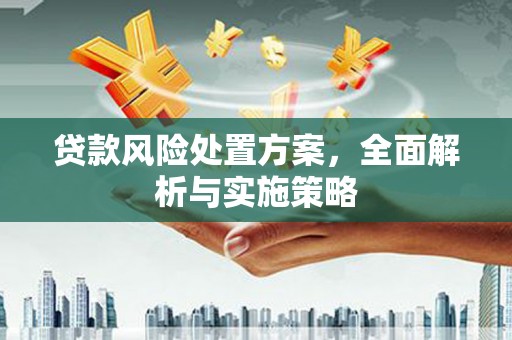 弋江贷款风险处置方案，全面解析与实施策略