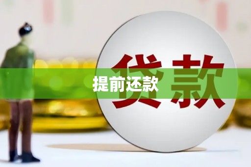 弋江提前还款