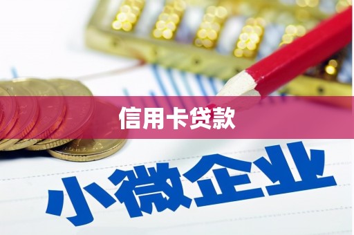 弋江信用卡贷款